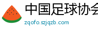 中国足球协会官方网站